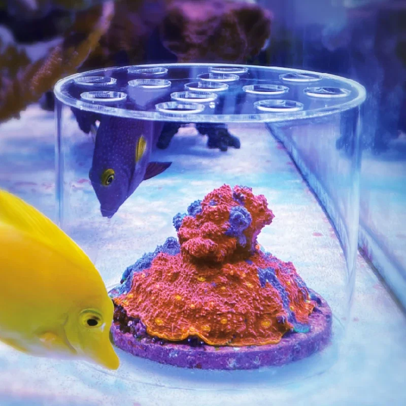 Aquarium Fish Food - Vastocean Aquarium Acryl Koraal Feeder Kap
