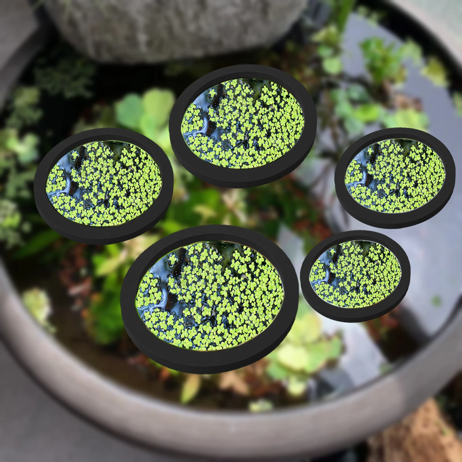 Aquarium Fish Marine - 5 stks EVA Vis Voeden Ring