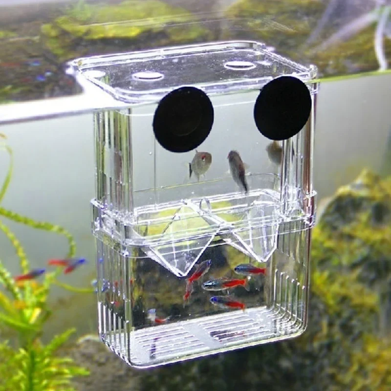 Aquarium Fish Cave - Multifunctioneel visaquarium, helder viskweek- en isolatiebox,