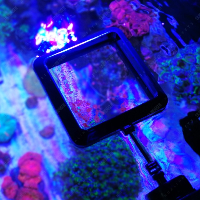 VASTOCEAN magnetische voerring - Aquarium Fish Food recensie en prijs