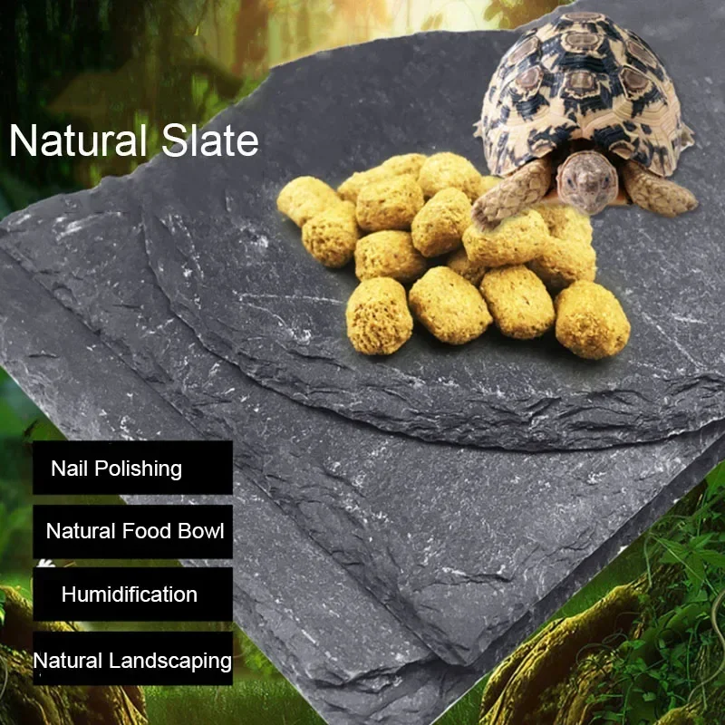 Natuurlijk Leisteen Aquarium R - Aquarium Fish Food recensie en prijs