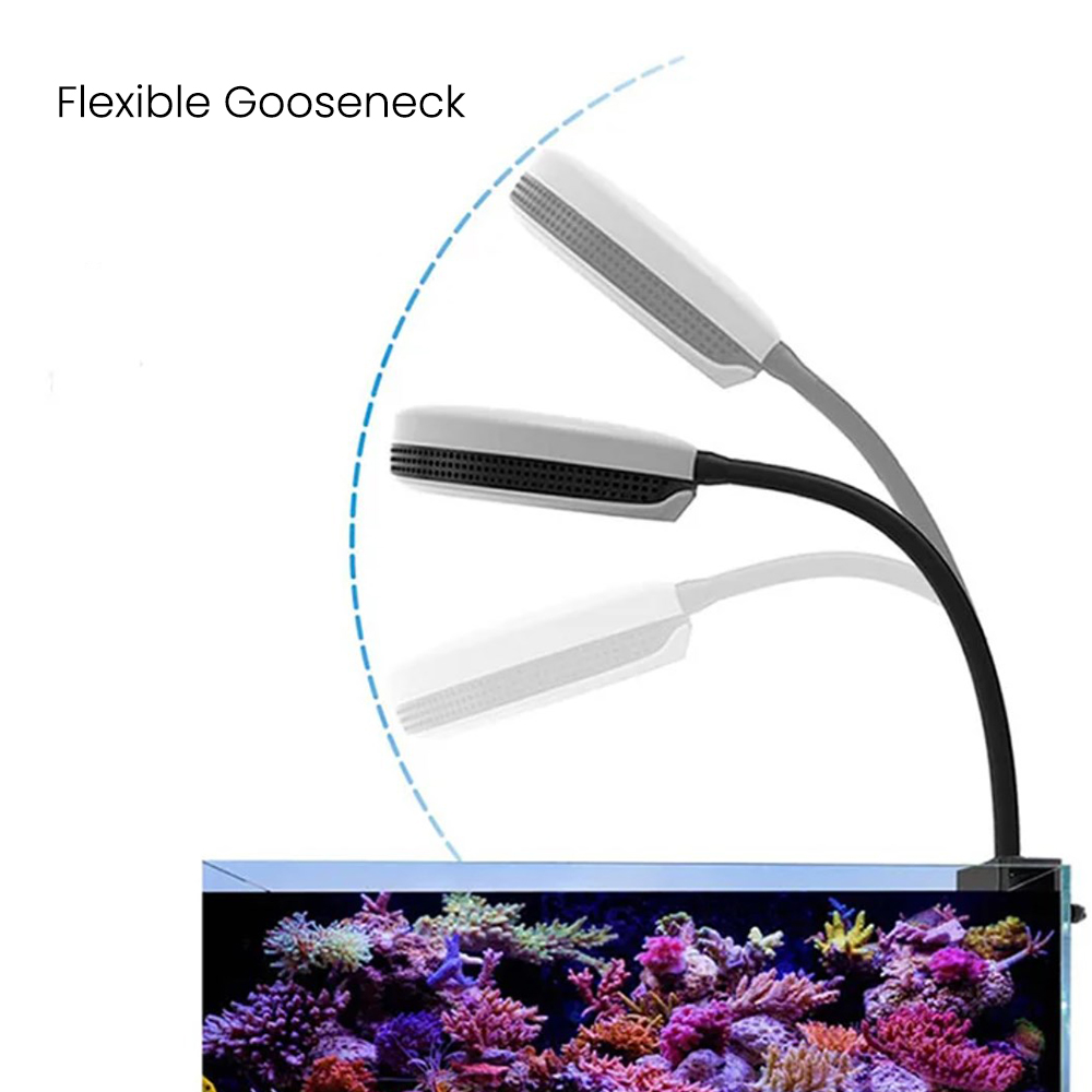 Spectra SP20 20W Aquarium LED- - Aquarium Fish Light Lamp recensie en prijs