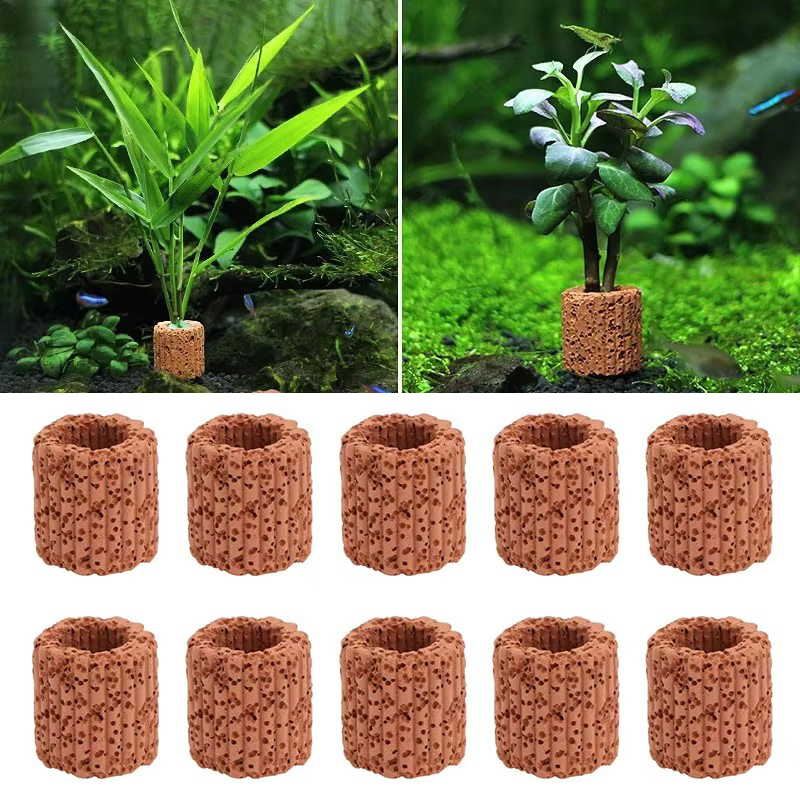 Aquatische Plant Vaste Ring vo - Aquarium Fish Hideout recensie en prijs