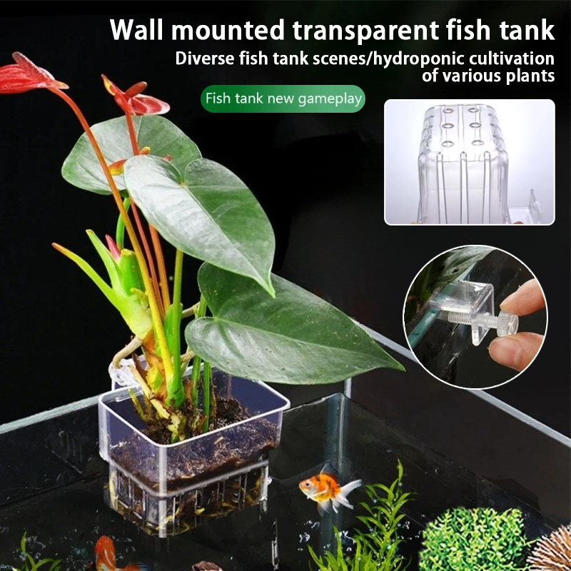 Aquarium hangende plantenbakje - Aquarium Fish Cave recensie en prijs
