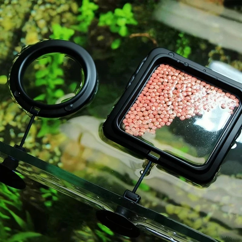 1/3 stuks Aquarium Visvoederri - Aquarium Fish Food recensie en prijs