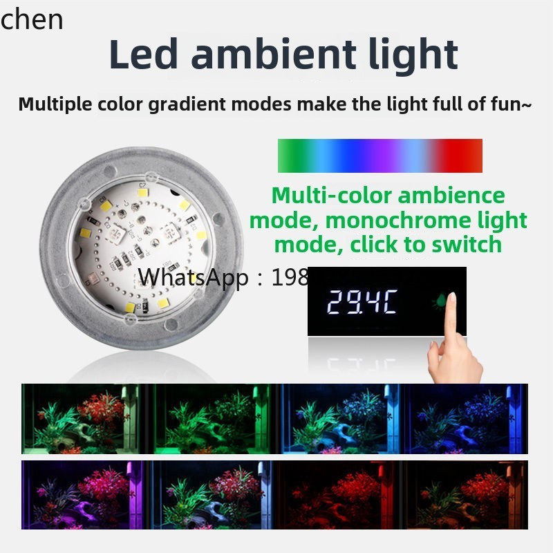 YGG ultra-wit glazen klein vis - Aquarium Fish Without Oxygen recensie en prijs