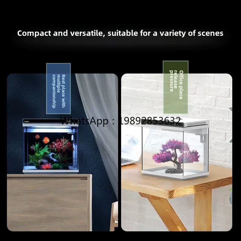 YGG ultra-wit glazen klein vis - Aquarium Fish Without Oxygen recensie en prijs