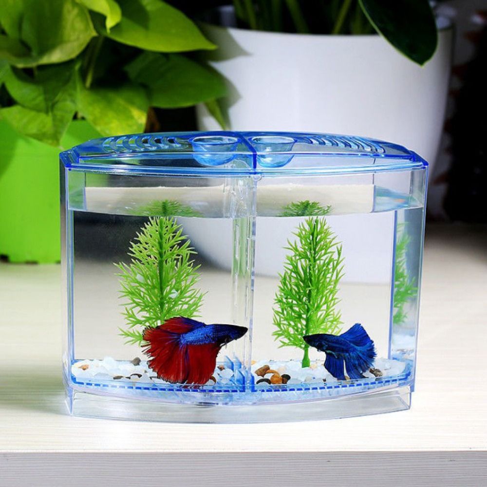Transparant Betta-Aquarium, Du - Aquarium Fish Cave recensie en prijs