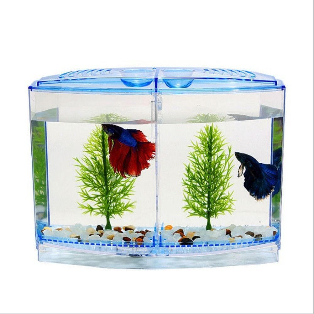 Transparant Betta-Aquarium, Du - Aquarium Fish Cave recensie en prijs
