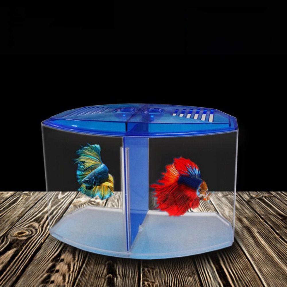 Transparant Betta-Aquarium, Du - Aquarium Fish Cave recensie en prijs