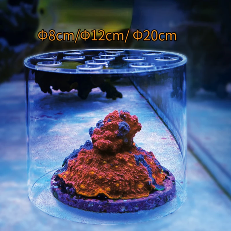 Vastocean Aquarium Acryl Koraa - Aquarium Fish Food recensie en prijs