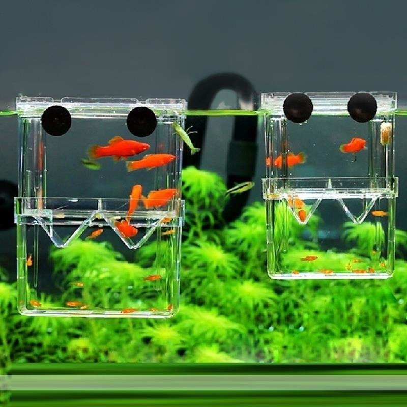 Multifunctioneel Visaquarium H - Aquarium Fish Cave recensie en prijs