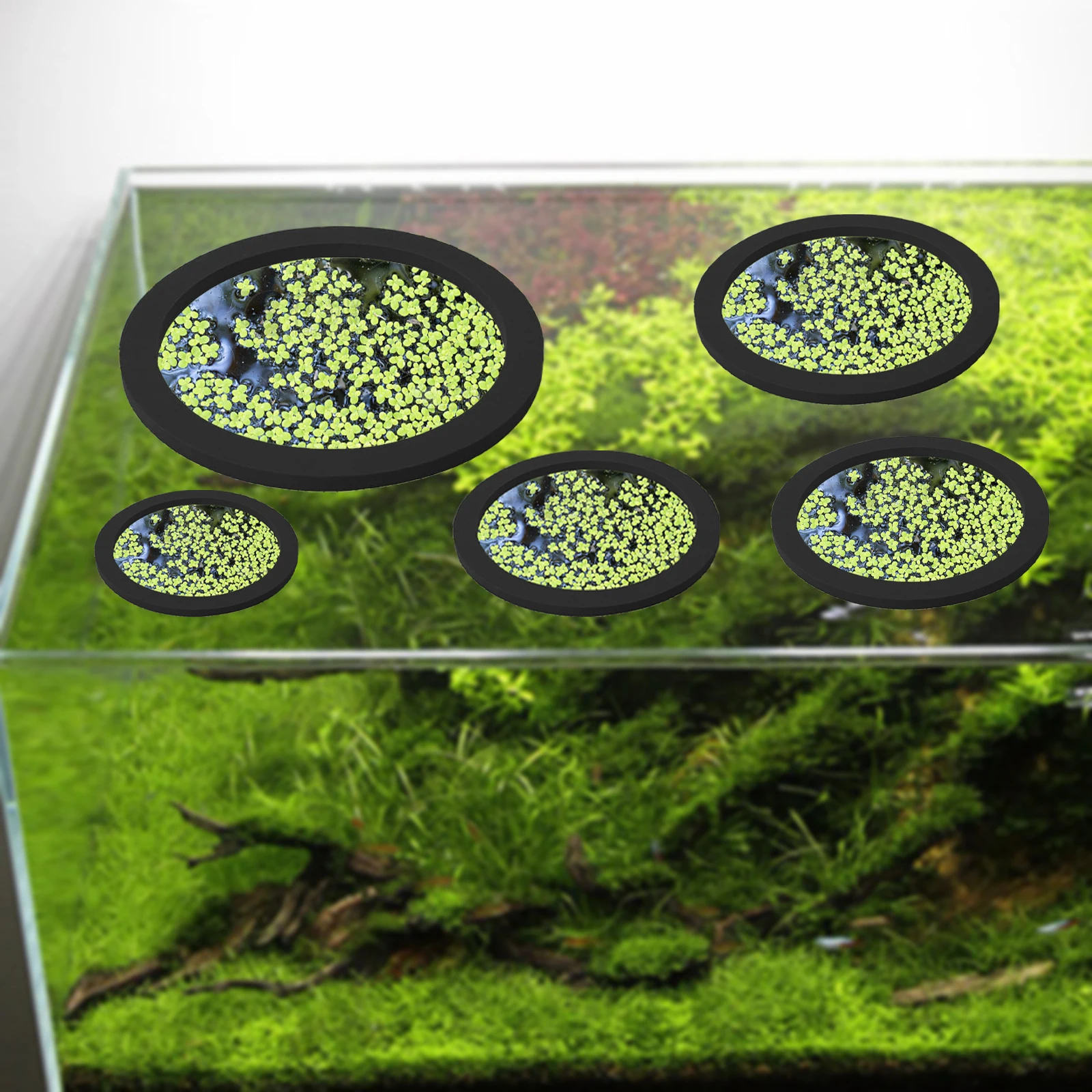 5 stks EVA Vis Voeden Ring Aqu - Aquarium Fish Marine recensie en prijs