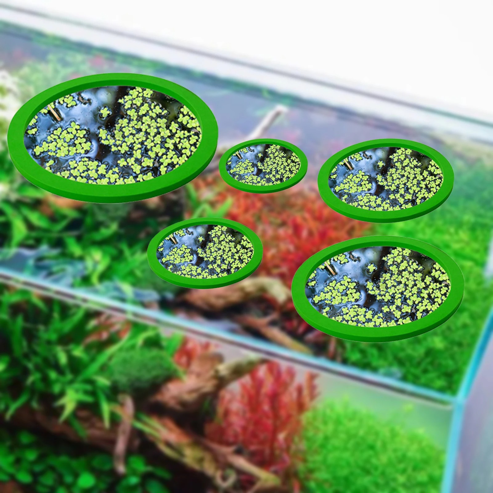 5 stks EVA Vis Voeden Ring Aqu - Aquarium Fish Marine recensie en prijs