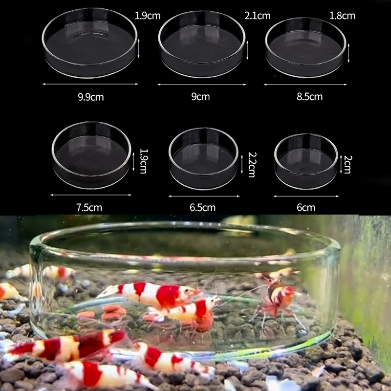 Garnalen Voerbak Hoge Transpar - Aquarium Fish Food recensie en prijs