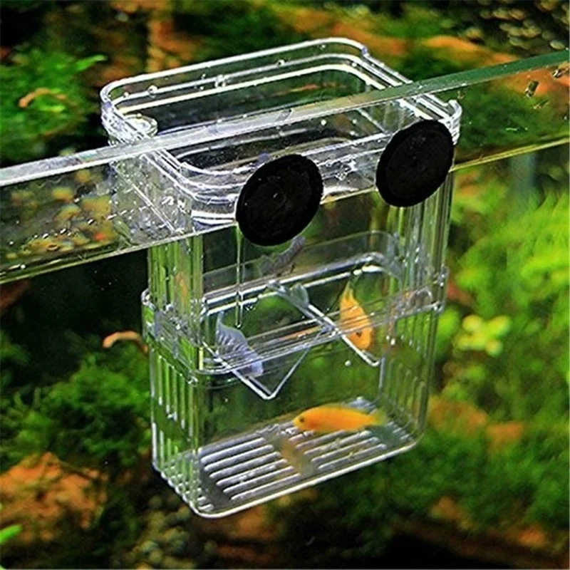 Multifunctioneel visaquarium,  - Aquarium Fish Cave recensie en prijs