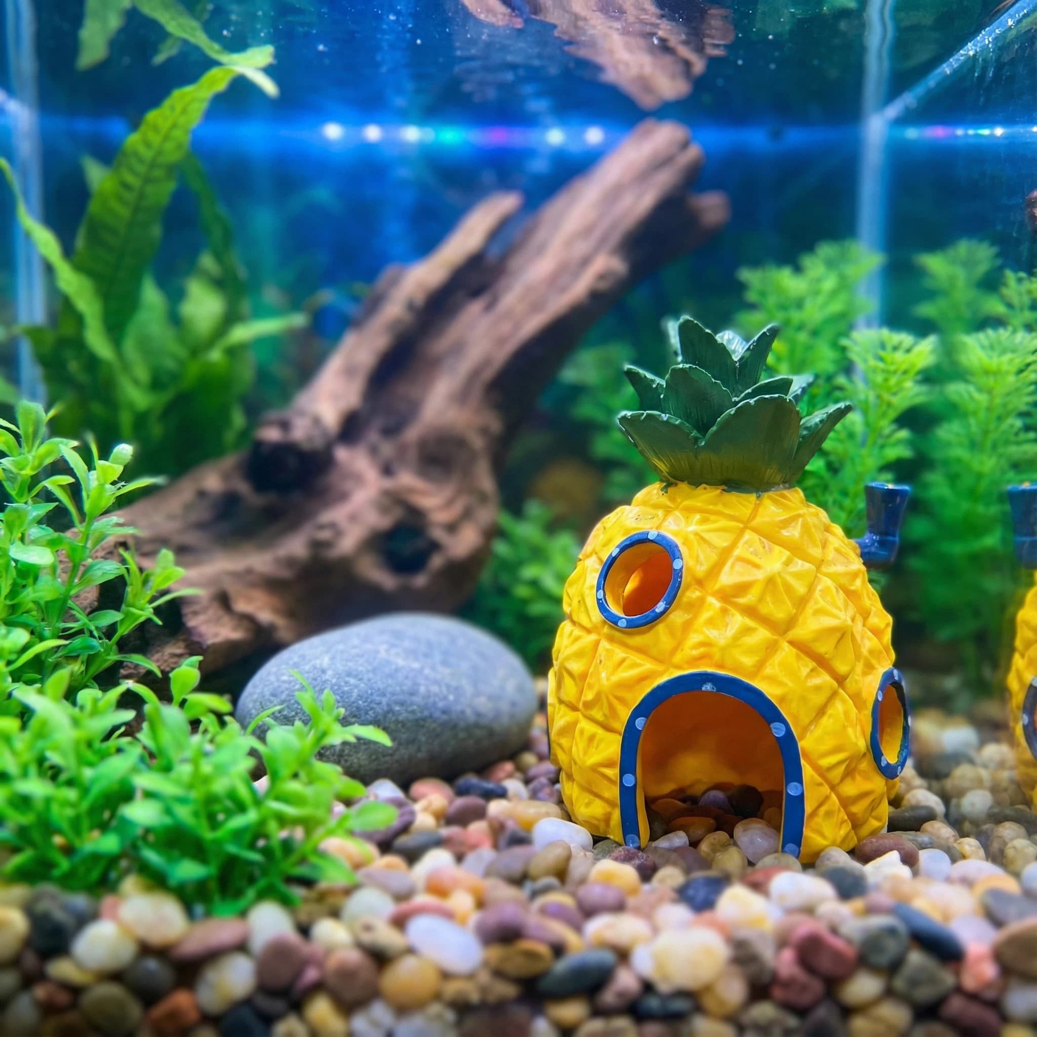Ananas Huis Aquarium Decor, Mi - Aquarium Fish Hideout recensie en prijs