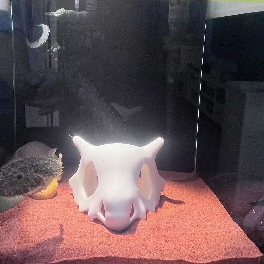 3D Gedrukt Vis Garnalen Reptie - Aquarium Fish Cave recensie en prijs